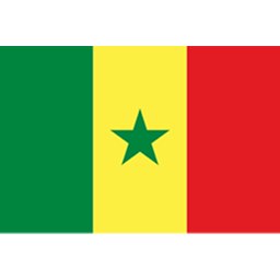 塞内加尔队
